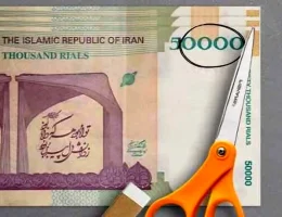دولت و مجلس به جای چهار صفر، برای حذف پنج صفر از پول ملی تصمیم‌گیری کنند